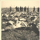 Εκταφή πτωμάτων, 1948-49.