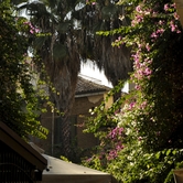 Κήπος στα στενά πέριξ της οδού Λήδρας