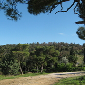 Το Σέιχ Σου