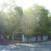 Τα χίλια δένδρα