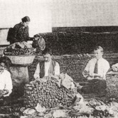 Ο εκχριστιανισμός των Μωαμεθανών