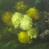 Ένα ματσάκι ωχρότητα