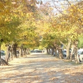 «Ο Ταξιδιώτης»