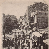 Μέσα στα γιασεμιά