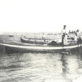 Με τα γρι-γρι στη Νέα Μηχανιώνα