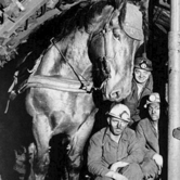 Μετανάστης