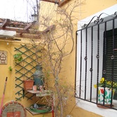 Τα μεγάλα σπίτια με τους καταπράσινους κήπους