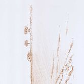 Η μυθολογία του Έβρου ή εκεί που η επίκουρος φύση αφθονεί και η φίλαυτη πολιτεία απουσιάζει