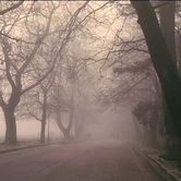 Ο παραλίμνιος με ομίχλη