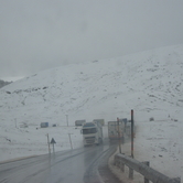 Χιονισμένη Κατάρα