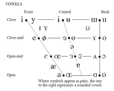 Reproduction of The International Phonetic Alphabet - Vowels.